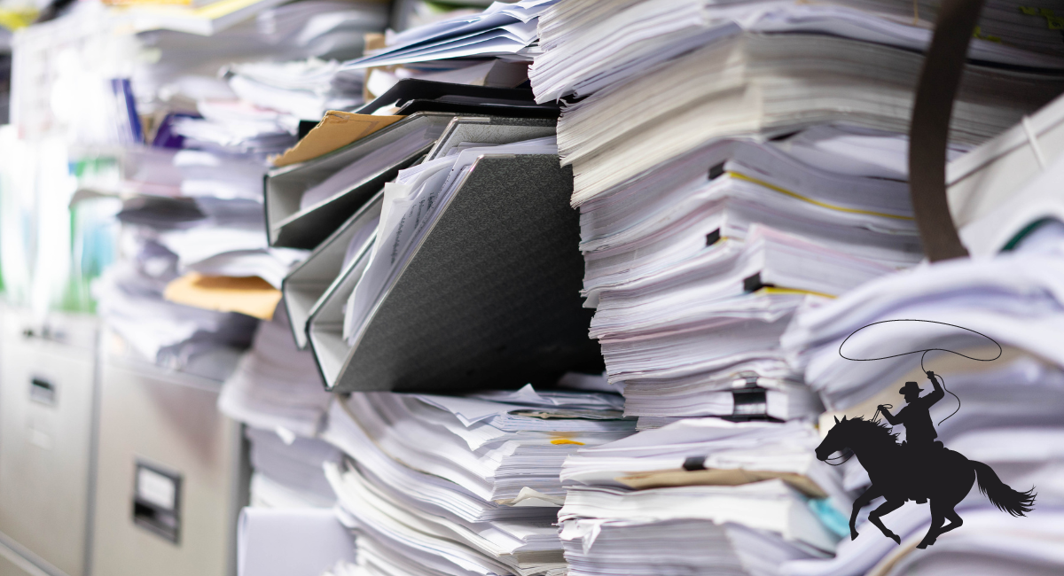 Rein in chaos with enterprise content management software blog banner